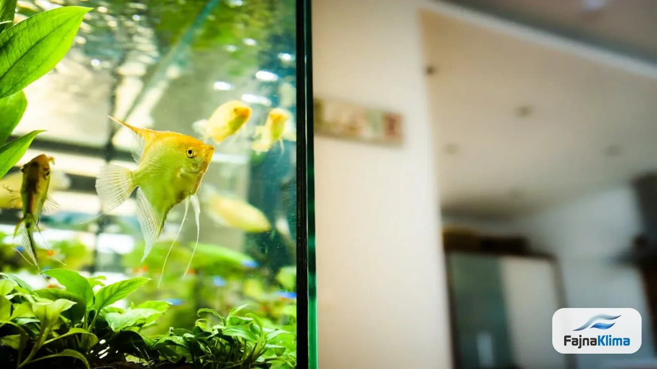Akwarium ustawione poza bezpośrednim nawiewem klimatyzatora w salonie